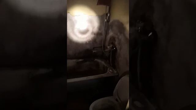FlashLight Police