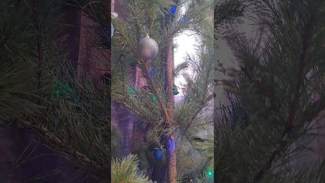 с наступающим новым годом!❄️🎄