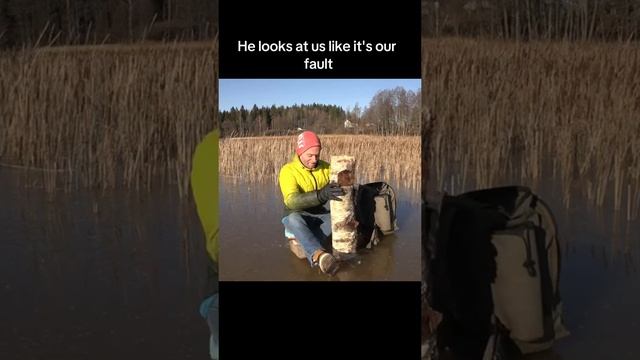приколы