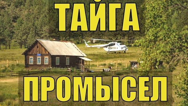 РАССКАЗЫ БЫВАЛЫХ ЖИЗНЬ В ТАЙГЕ ПРОМЫСЕЛ ХОЗЯИН в ТАЙГЕ ОХОТА на ГУСЯ СУДЬБА ИСТОРИИ из ЖИЗНИ