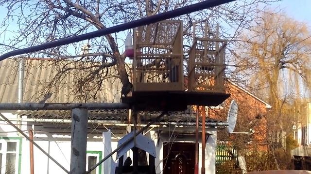 Западок в действии.