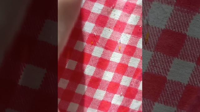 единорожка с конфетами