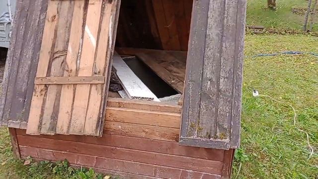 Супер короткая абиссинская скважина в Дубне