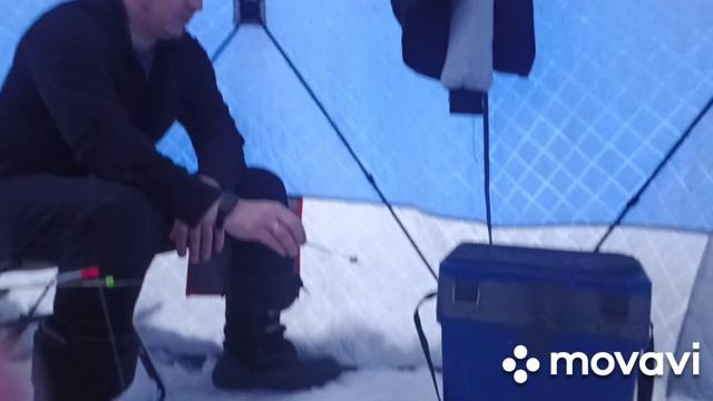 за сигом под новый год с дочерью.сиг.пыжьян