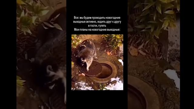 1000069854.mp4