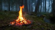 Campfire in foggy Forest by the River 100% Authentic Sounds