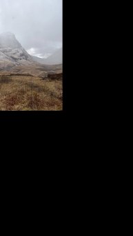 Когда нет времени искать подарок на Новый Год