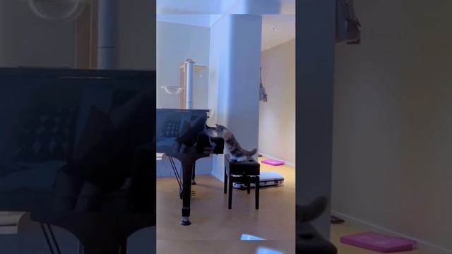 1000069819.mp4