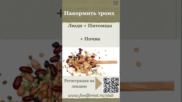 Афанасьев_Биоценоз богатый белком_19