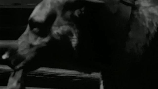 20. Ворота (Brama)