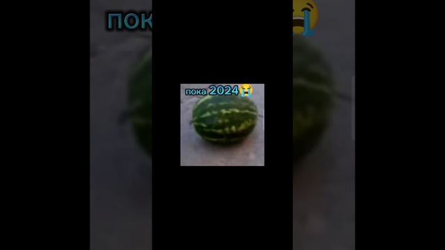 пока 2024