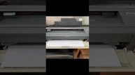 WhatsApp Video 2024-12-30 at 10.11.58