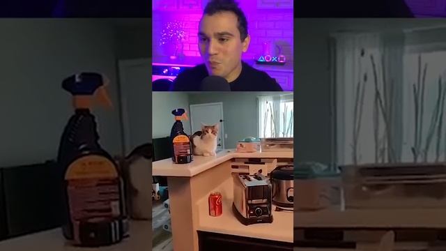 попробуй не засмеяться
