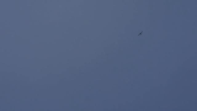 Мотопланер Pelican