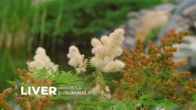 ПЕЧЕНЬ*ИСЦЕЛЕНИЕ ПЕЧЕНИ*NEW*САБЛИМИНАЛ