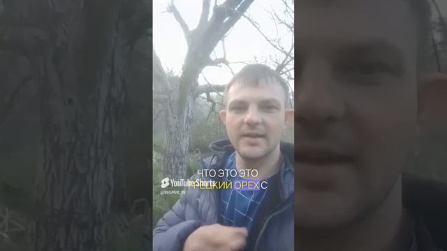 циганский бизнес