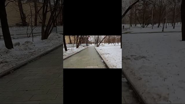 Каркуша трепит мышку