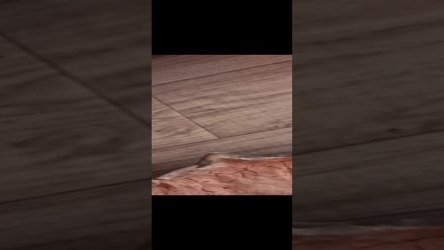 туса с тилипузами