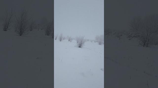 Зимняя сказка