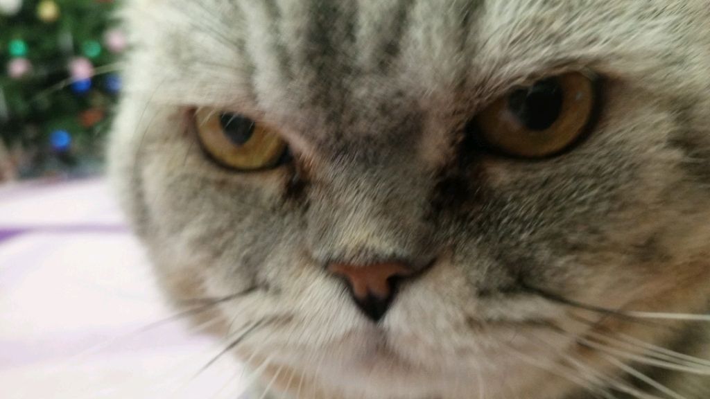 ой. всем привет ребят сегодня будем играть в minecraft с моими снеговиками