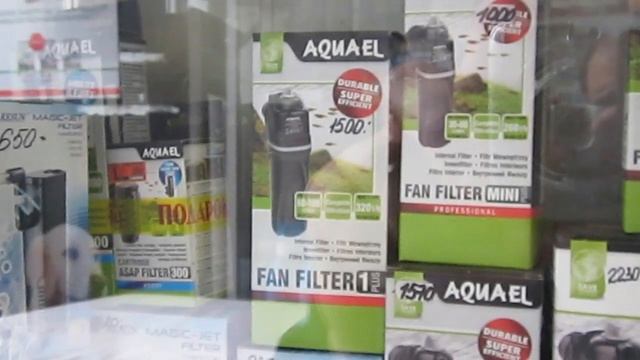 Кто угадал мох? Итоги. Снимаем в зоомагазине. Готовим чайный гриб.