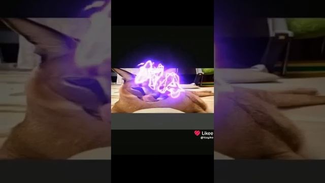 1000000027.mp4
