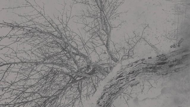 Imber Luminis - _Same Old Silences_ (Album Announcement)