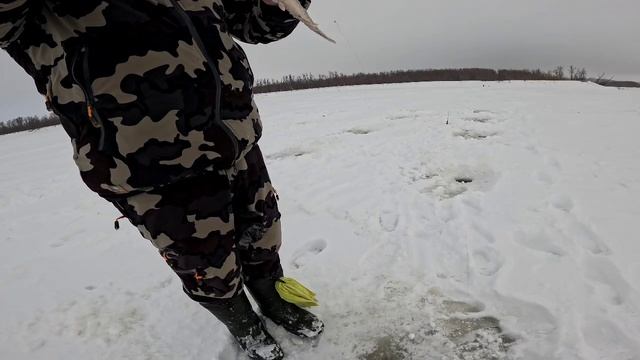 Рыбалка в Ханты-Мансийске!!!! Ловим рыбу зимой!
Поклёвка за поклевкой!!!