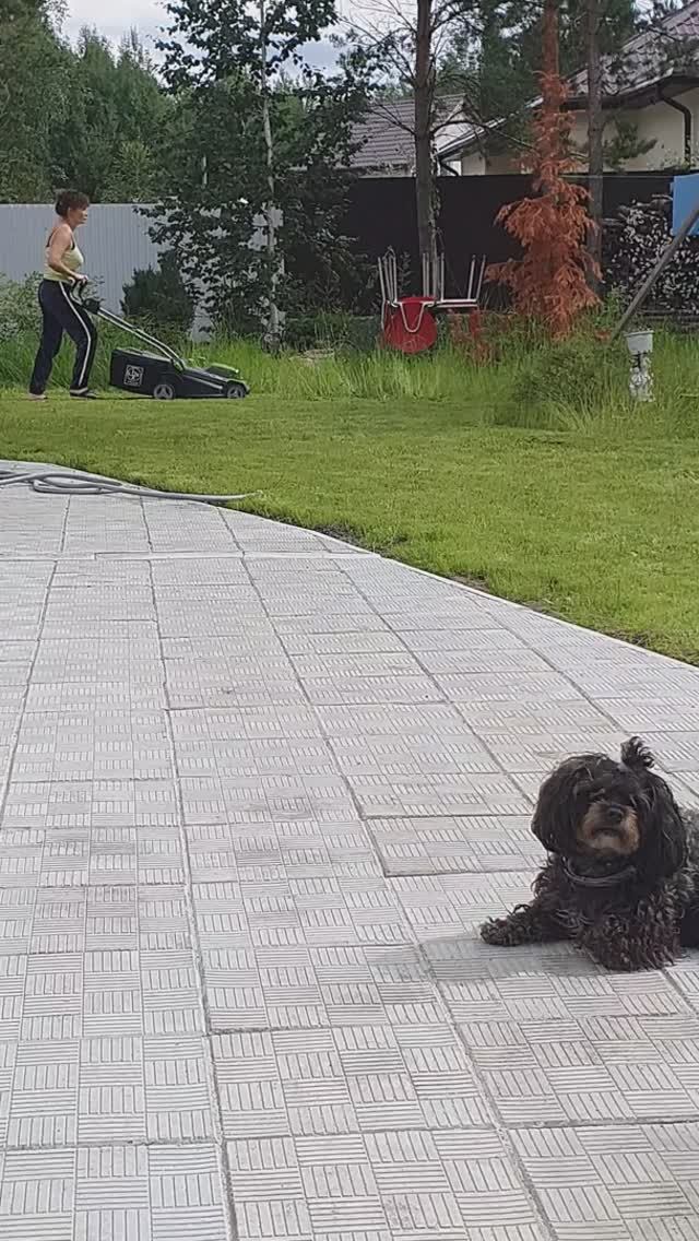 #мы с #беатрисой #загораем