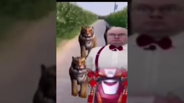 год за шагом