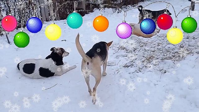 💖💖💖 Елена, Степашка и Ко поздравляют всех в наступающим Новым годом!!! Ура! 🎆🎄✨