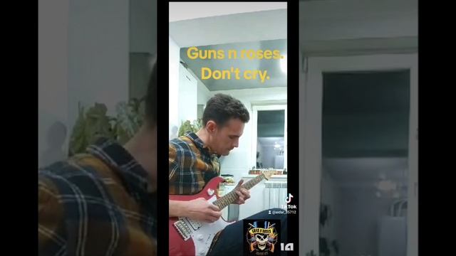 Guns'n roses -Dont cry.Solo Cover