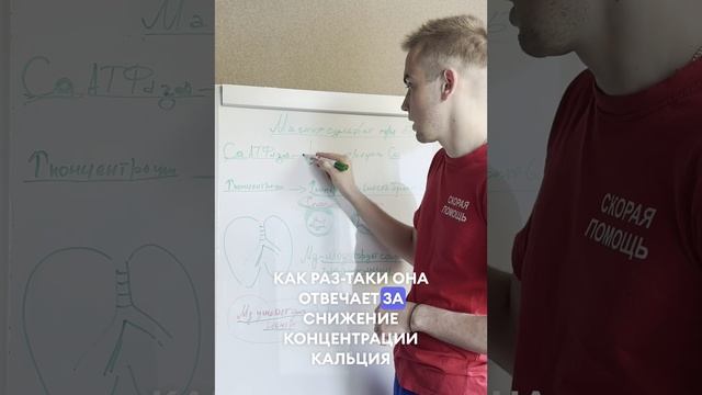 Купирование приступа Бронхиальной астмы