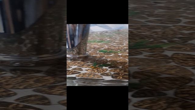 1000000086.mp4