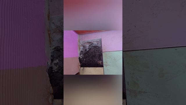 ужасы ремонта 6 20240808.mp4