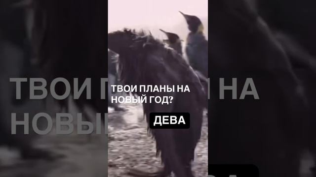 1136948479614750502