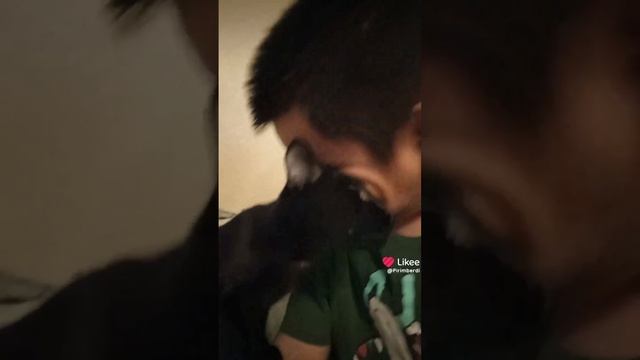 scene_output.mp4