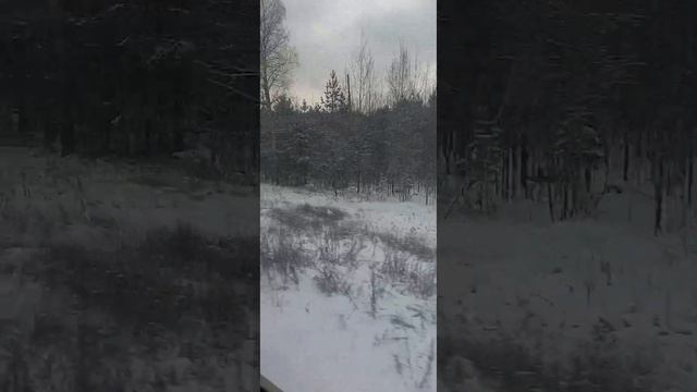 Еду в Подмосковье.