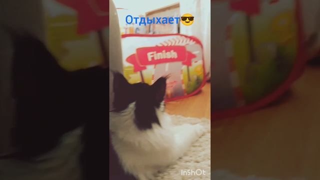 одыхает