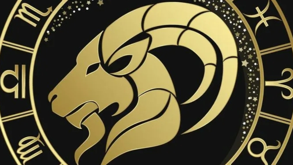 КОЗЕРОГ ♑ 2025