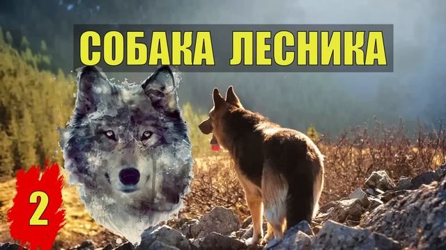 СОБАКА УБИТОГО ЛЕСНИКА ВСЕ СЕРИИ ИСТОРИИ из ЖИЗНИ СУДЬБА ВОЛКОДАВ СЛУЧАЙ в ЛЕСУ СЕРИАЛ 2024