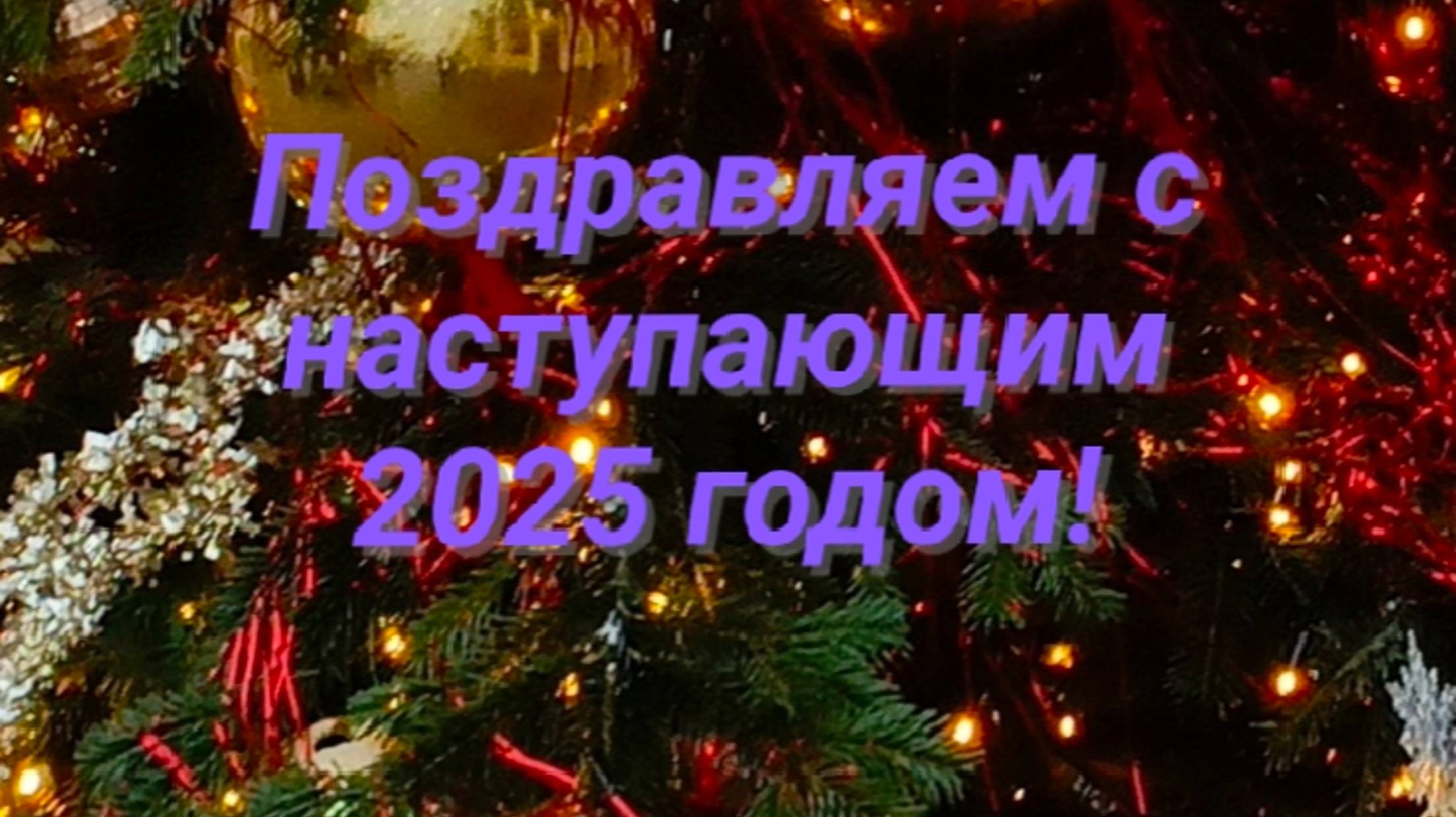 Поздравляю с наступающим новым 2025 годом! Мои самые лучшие и искренние пожелания в новом году!