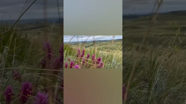 Путь к Нос-горе