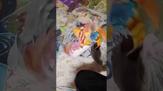 батл