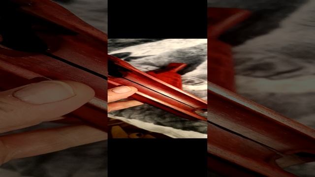 Приклад , цевьё Remington Express magnum