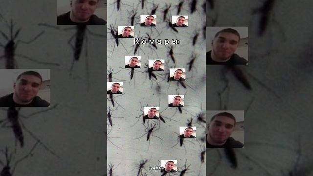 Чертова Ракетка