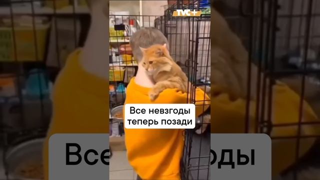 Любовь с первого взгляда)))))