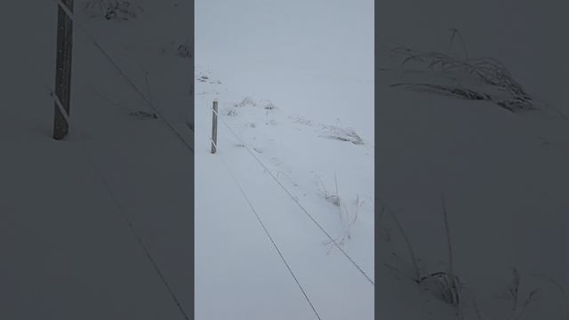 Туман Зимой