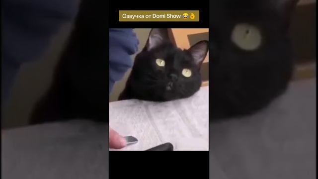 приколы😂😂😂