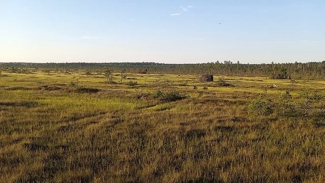 В сердце Гримпенской трясины2